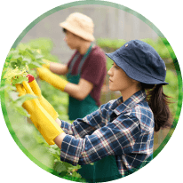 Nông nghiệp trải nghiệm